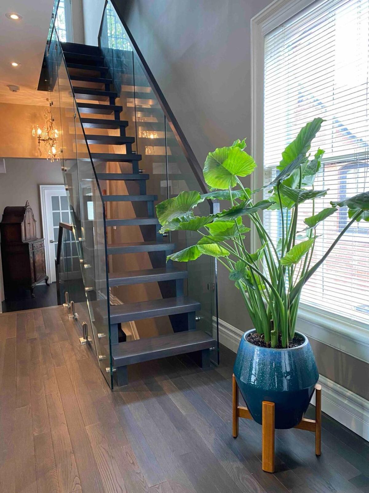 Downtown Luxury Victorian Retreat Otel Toronto Dış mekan fotoğraf
